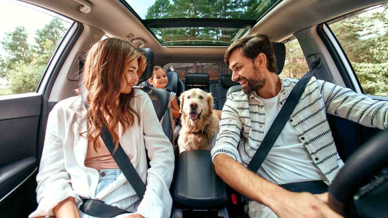 Famiglia in auto con cane