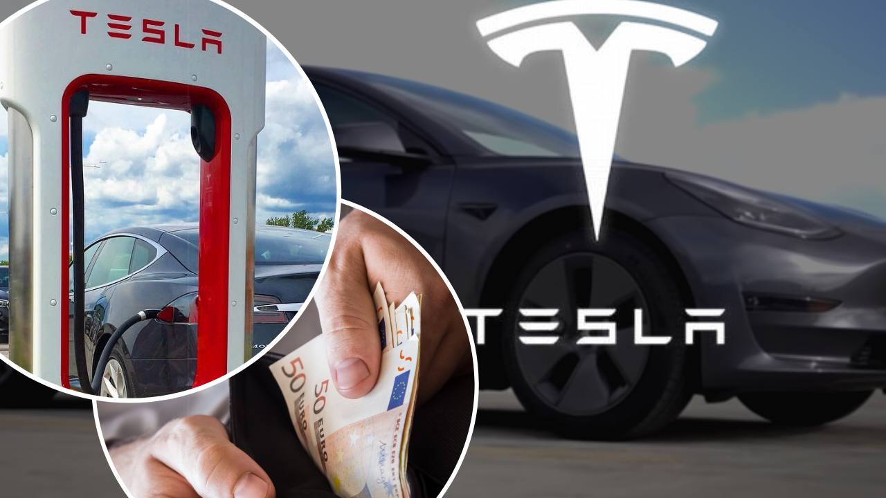 Proprietario dell'Auto elettrica Tesla