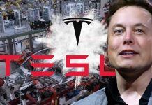 Tesla Model 2 confermata