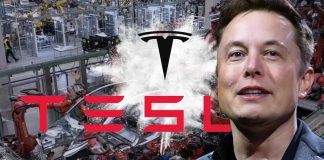 Tesla Model 2 confermata