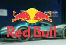 RB17 Red Bull