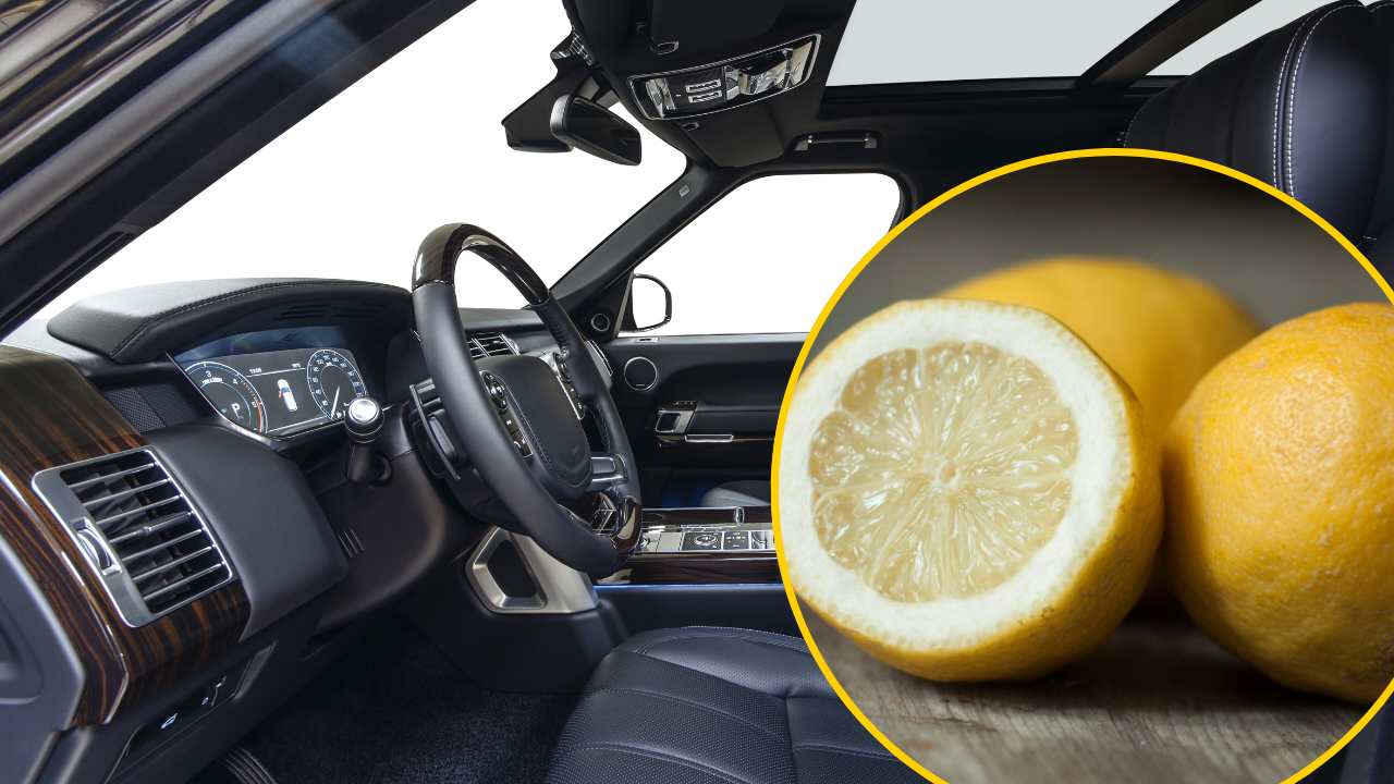 Limone in macchina