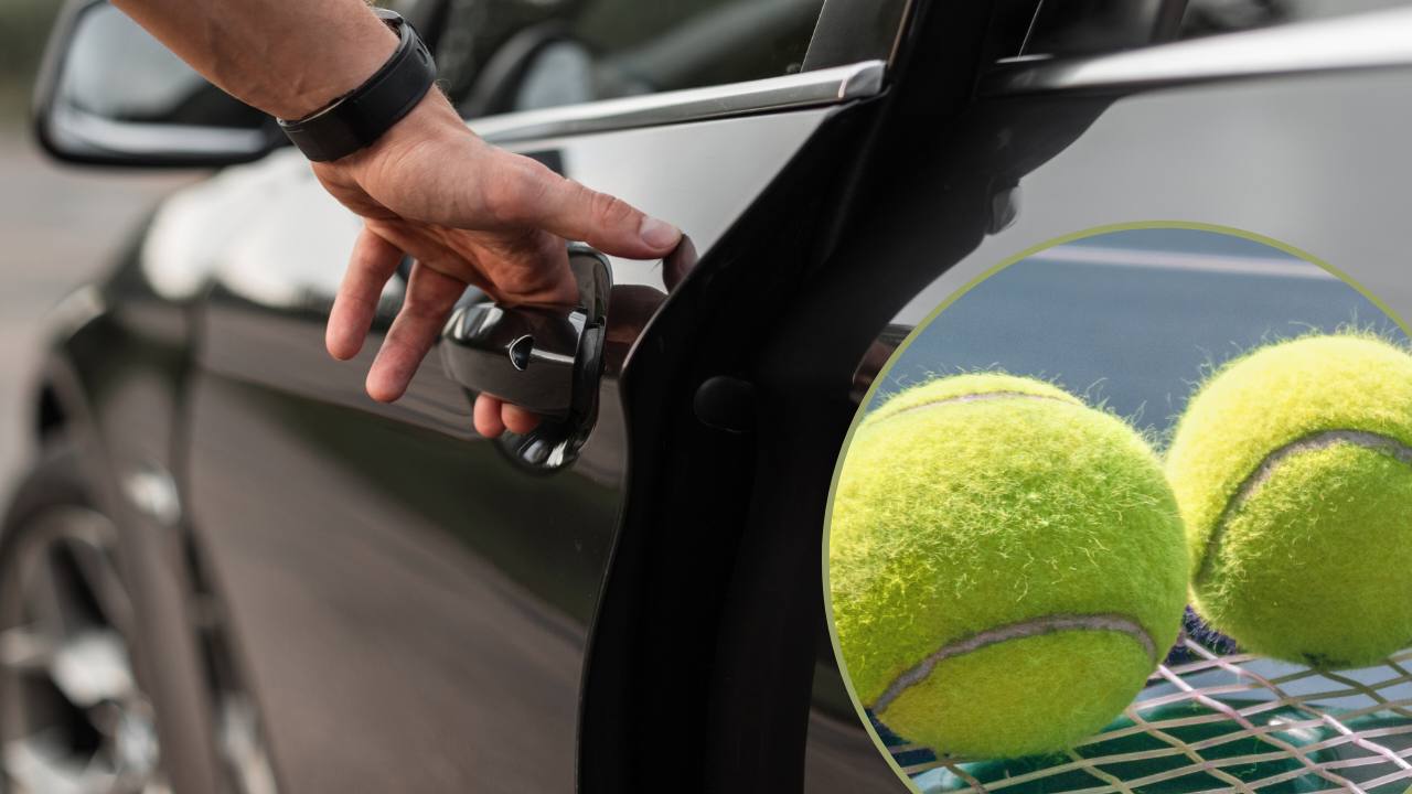 Portiera e pallina da tennis