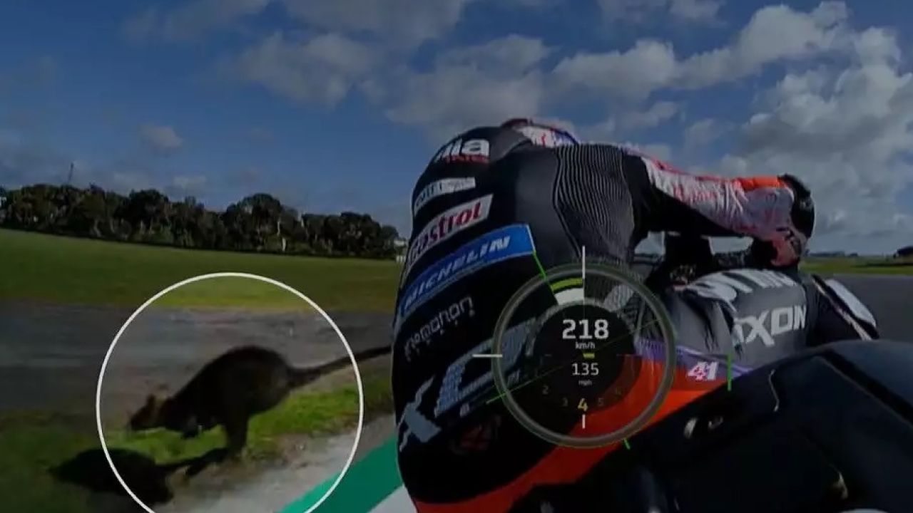 motogp-phillip-island-ospiti-insoliti