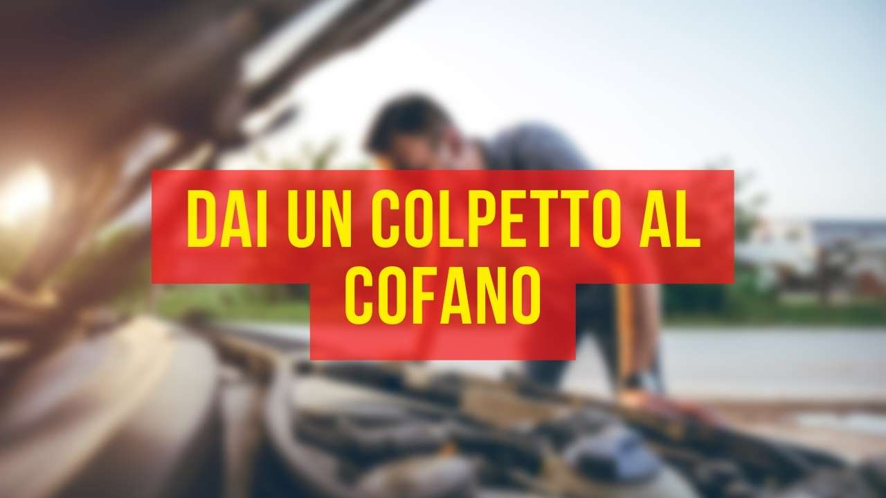 Cofano