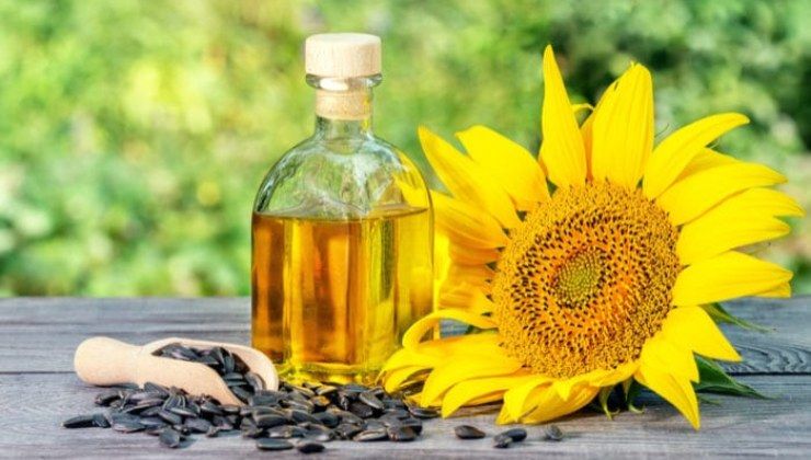 Olio di girasole biodiesel