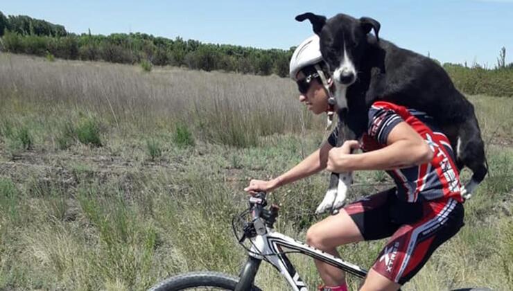 Cane abbandonato in bici