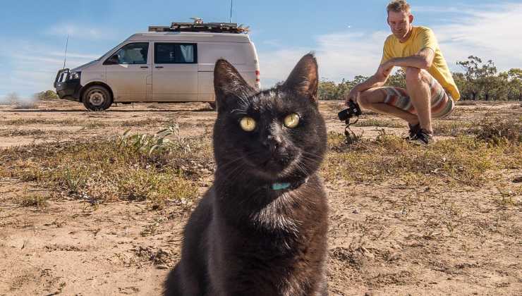 Uomo e gatta nel deserto