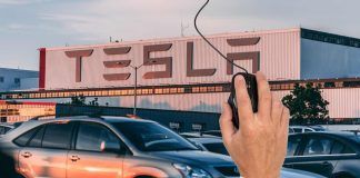 tesla e mouse